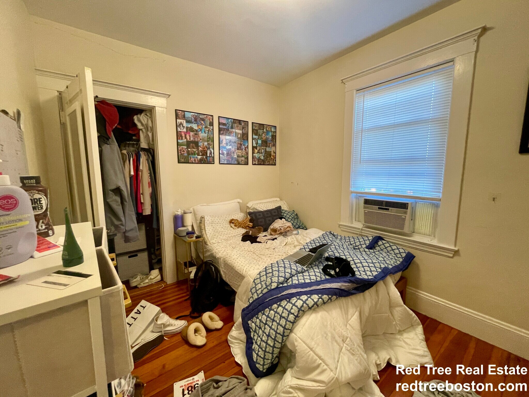 Building Photo - 209 Chestnut Hill Ave