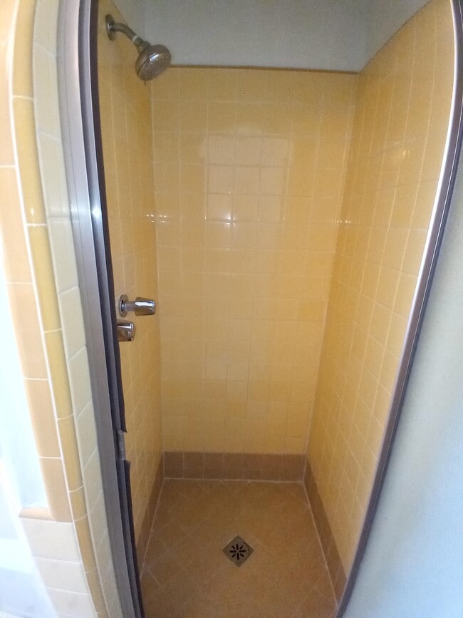 SHOWER - 442 S Palm Dr