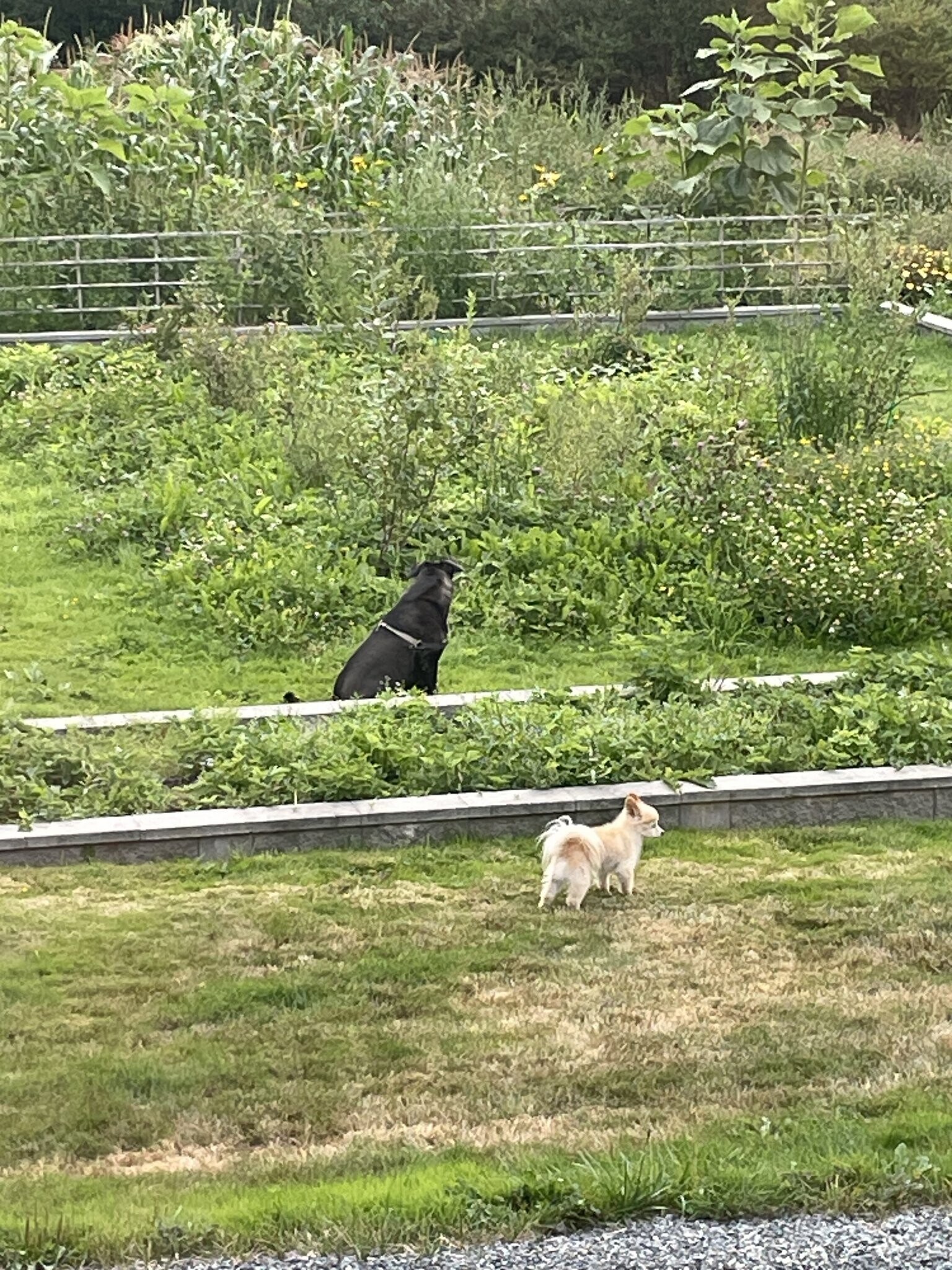 Building Photo - 9600 116th St NE