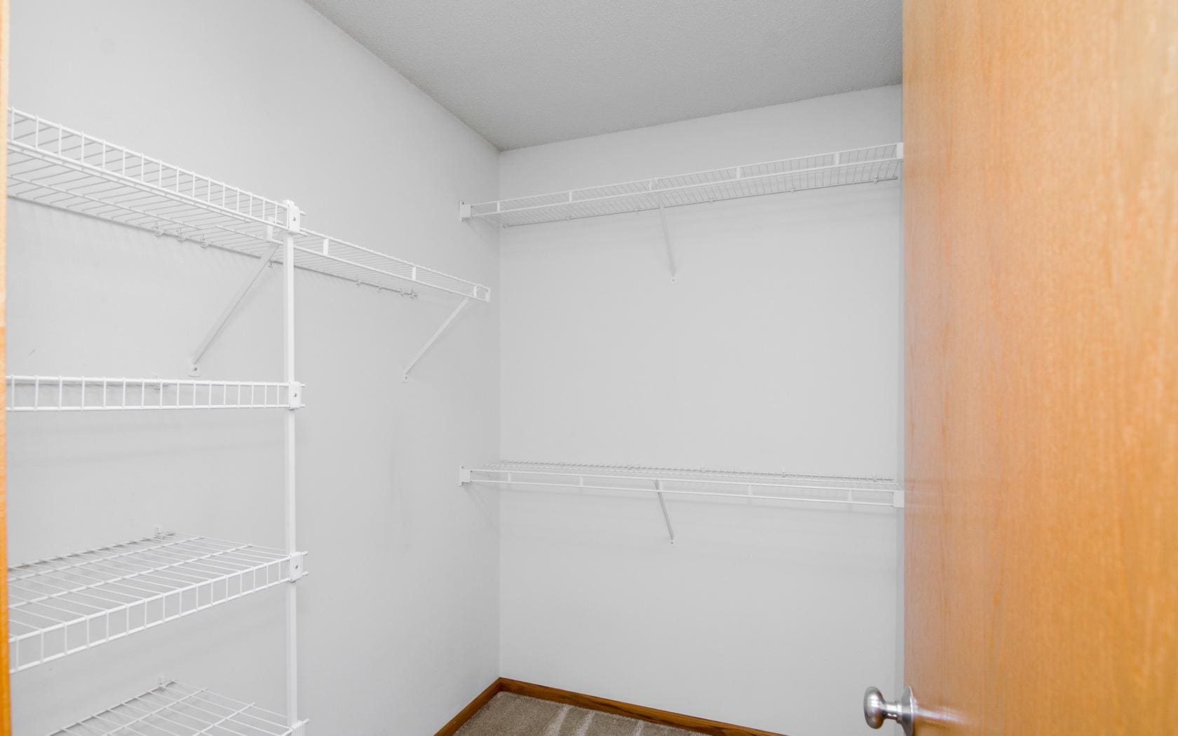 Building Photo - 534 Sicily Ct