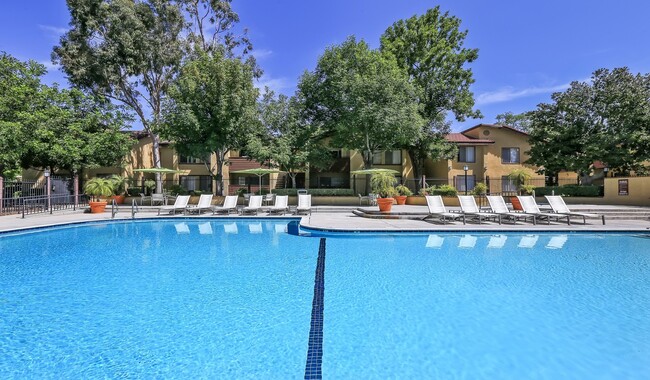 Lounge on the sundeck beside our outdoor pool - Indian Oaks