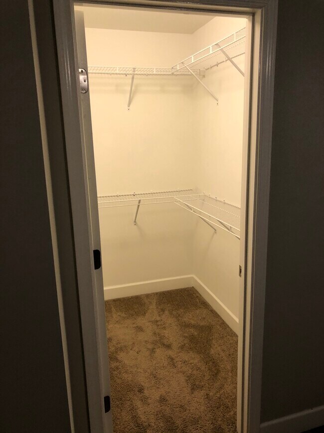 Building Photo - 5543 Prada Dr