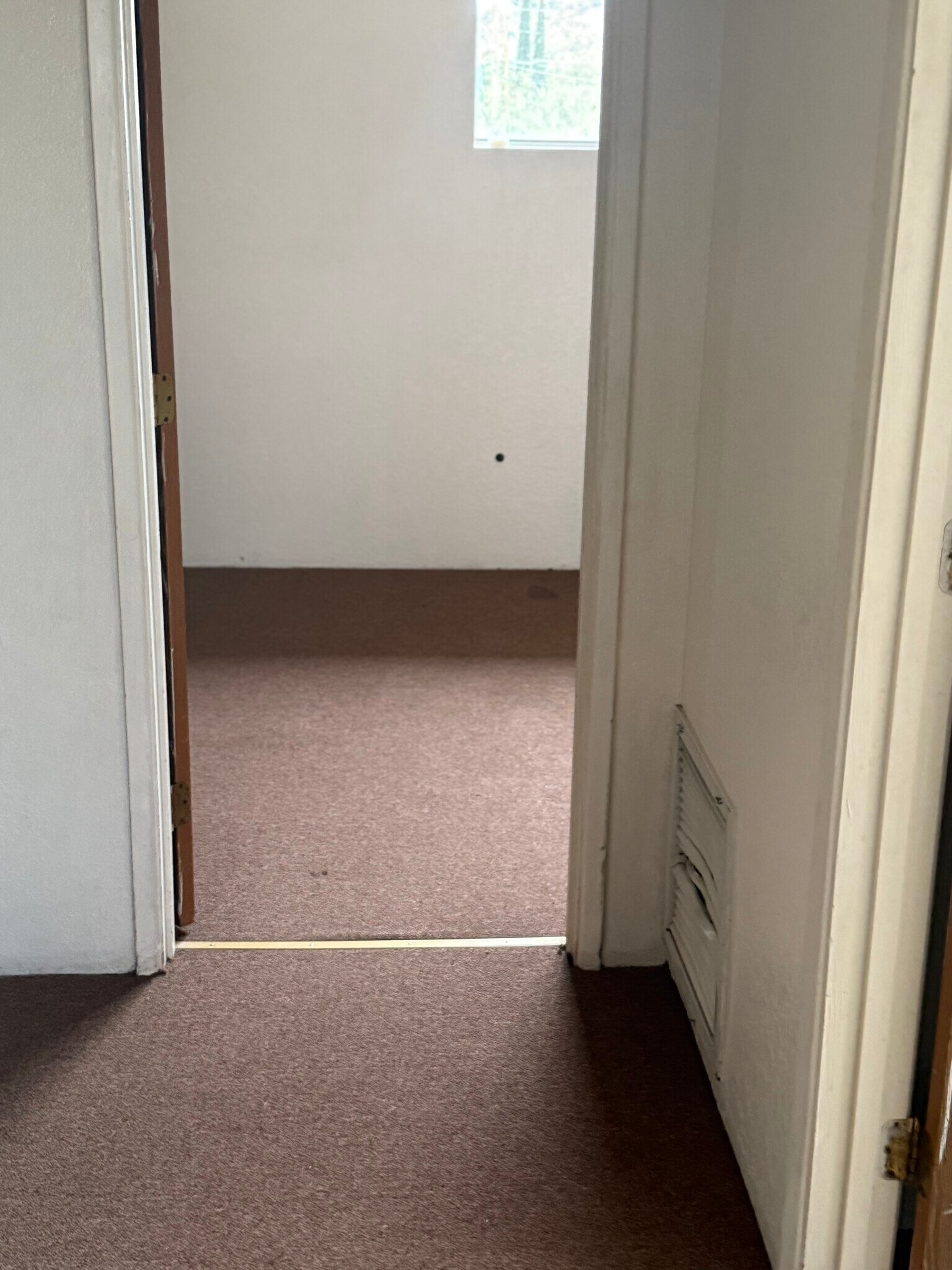 Building Photo - 433 Avenida Garza