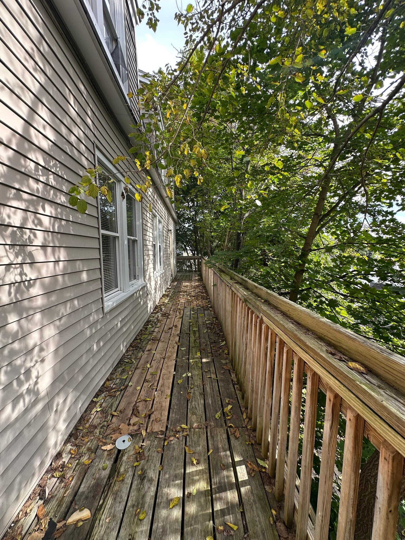 Back porch - 49 Freeman Ave