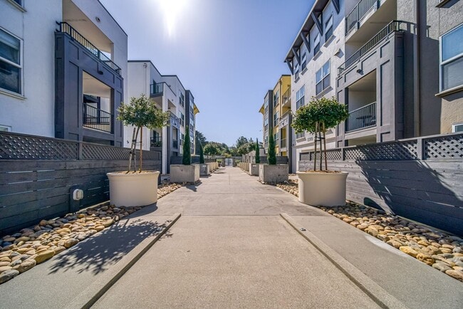 Building Photo - 2 bedroom 2 bathroom condo