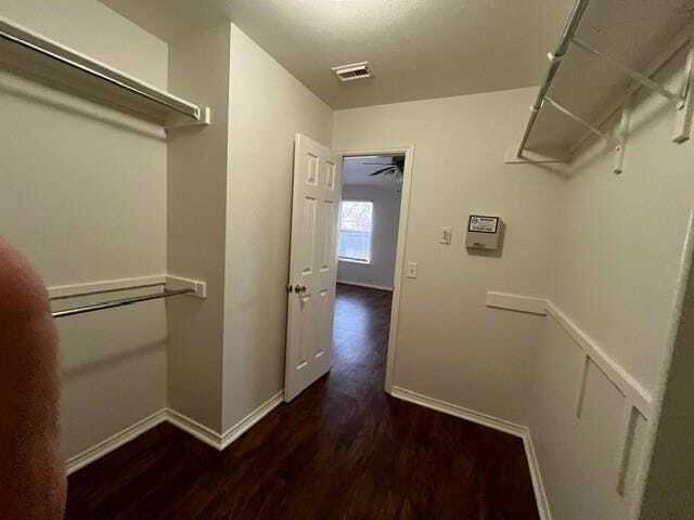 Building Photo - 908 Rocking Spur Cove
