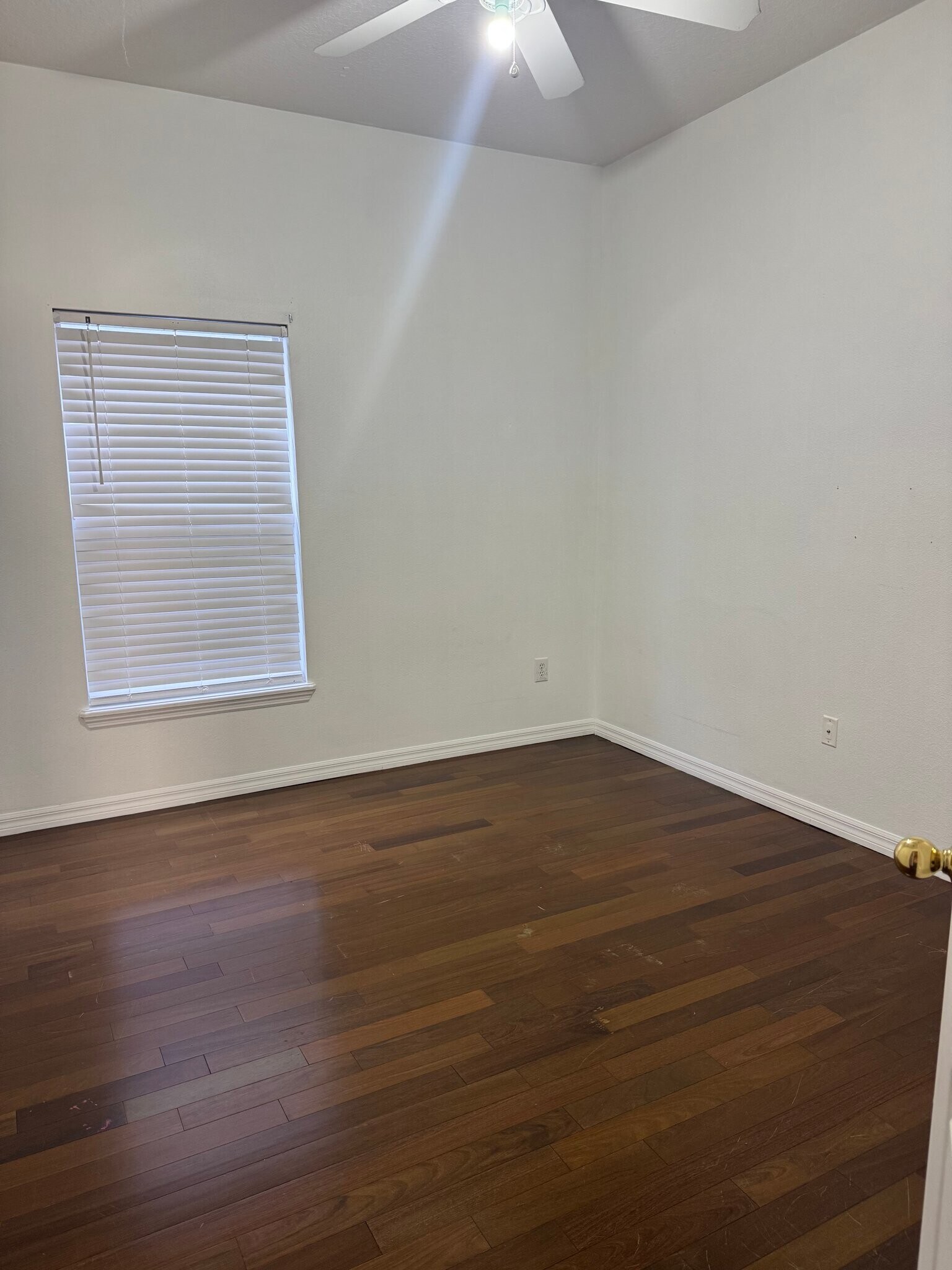 Building Photo - 273 Clydesdale Cir