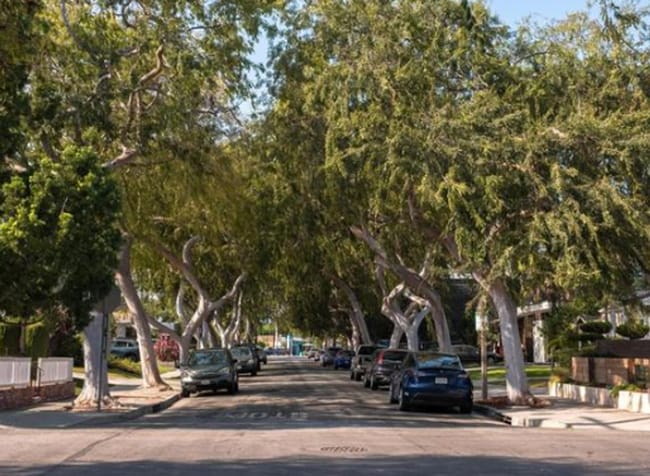 Building Photo - COMPLETELY REMODELED 2 BEDROOM 2 BATH HOUSE