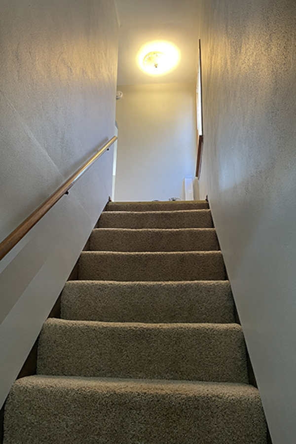 Interior stairs to unit - 245 N Seminary St