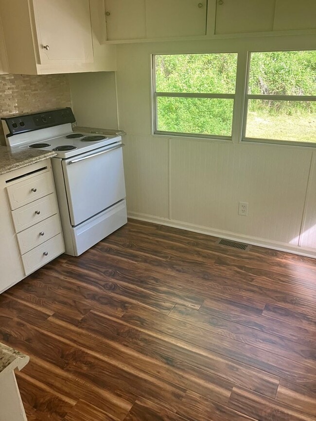 Building Photo - Remodeled 2 Bedroom in Candler