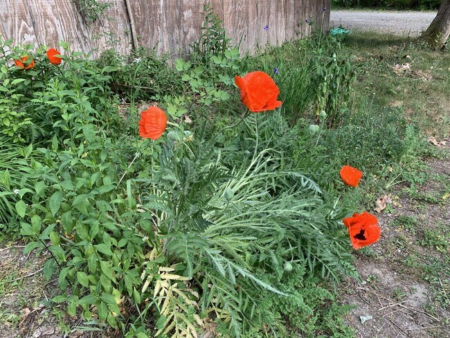 Building Photo - 74 Hilltop Rd