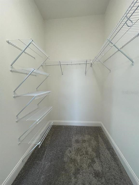 Building Photo - 3032 Crispin Cir