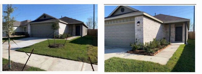 Building Photo - 10726 Lavender Cotton Ln