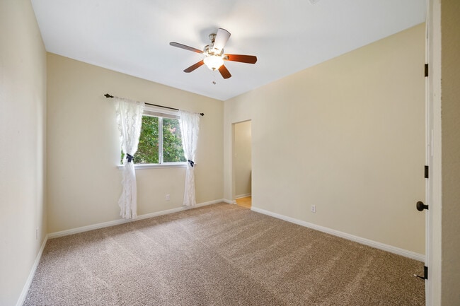 Building Photo - Spacious 4-Bed Luxury Home with Chef’s Kitchen, Fenced Yard, and 3,528 sq ft in Helotes