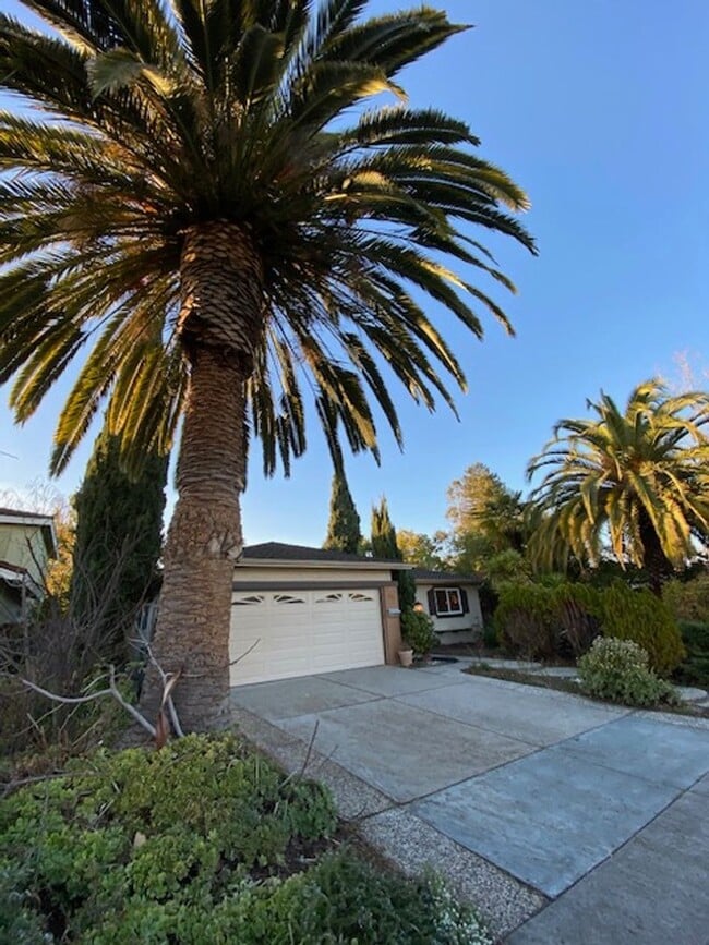 Building Photo - Beautiful Single Level Home in Ponderosa P...