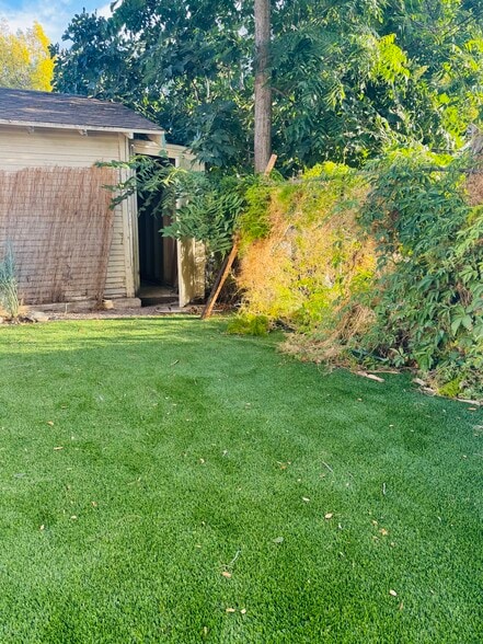 Backyard - 1045 Bradford St