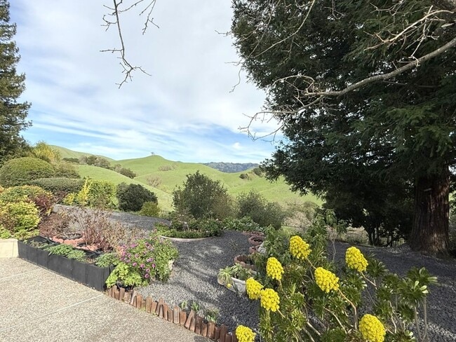 Building Photo - NEW PRICE ! Beautiful custom one story estate located on one of the most desirable streets in Bla...