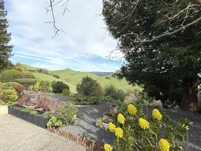 Building Photo - REDUCED ! Beautiful custom one story estate located on one of the most desirable streets in Black...