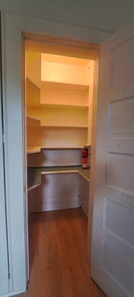 kitchen pantry - 315 Bosley Ave