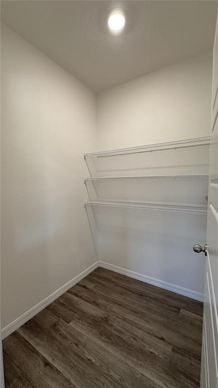 Building Photo - 2505 Ribbon Fall Ave