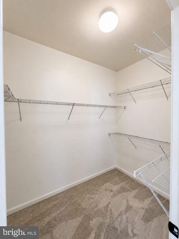 Building Photo - 22806 Breezy Hollow Dr