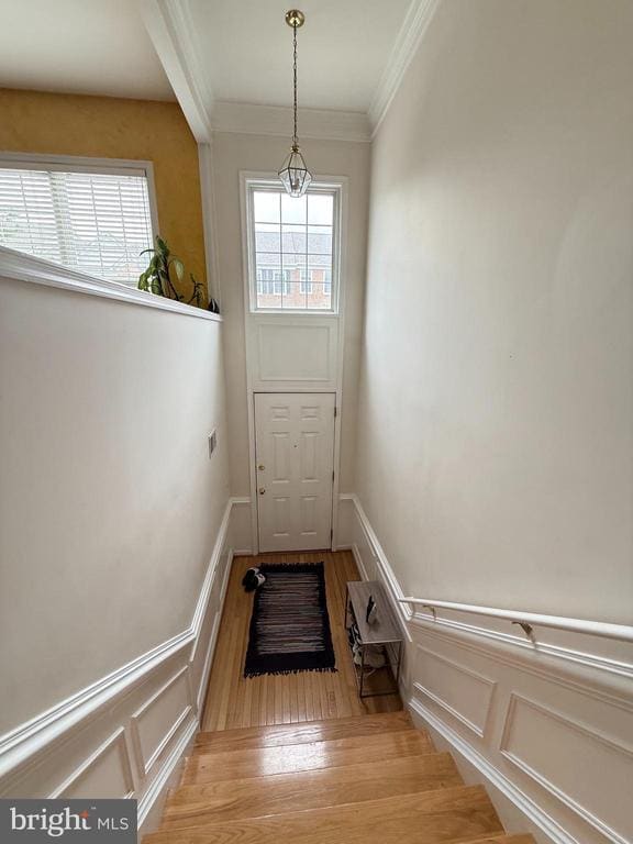 Building Photo - 13133 Rose Petal Cir