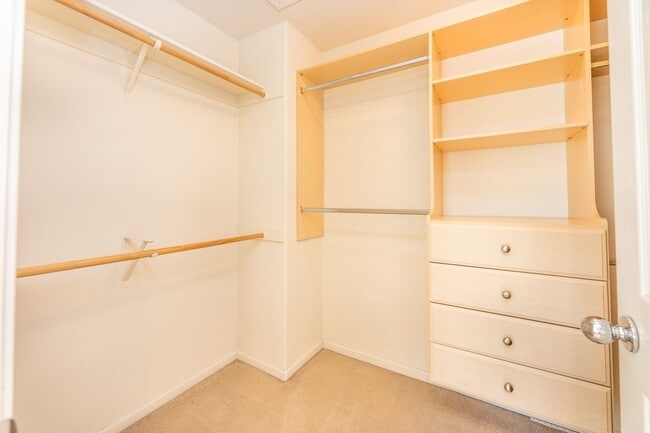 Building Photo - Large Single Family Home in Desirable Univ...
