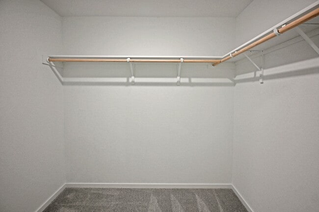 Building Photo - 3813 Low Tide