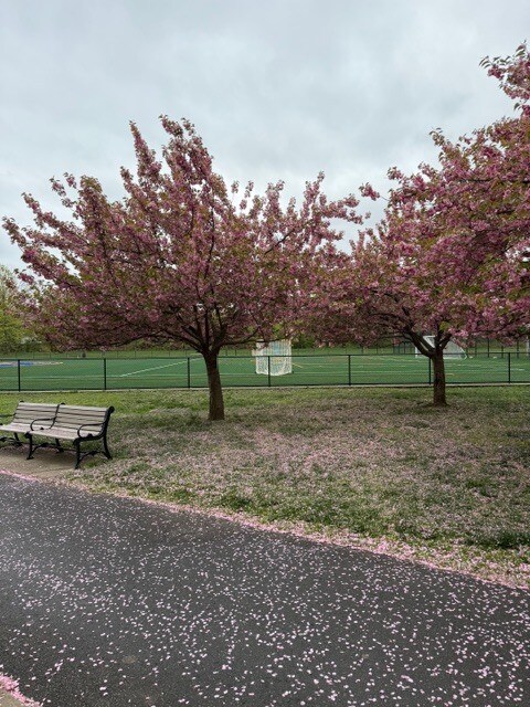 Building Photo - 44 Charles St
