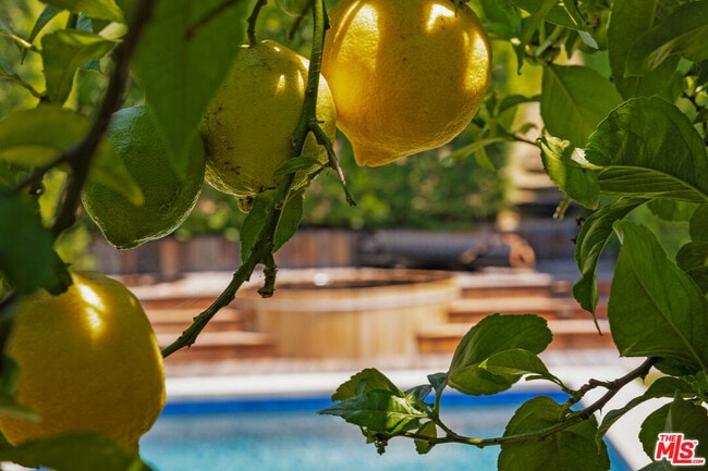 Building Photo - 2611 Range Rd