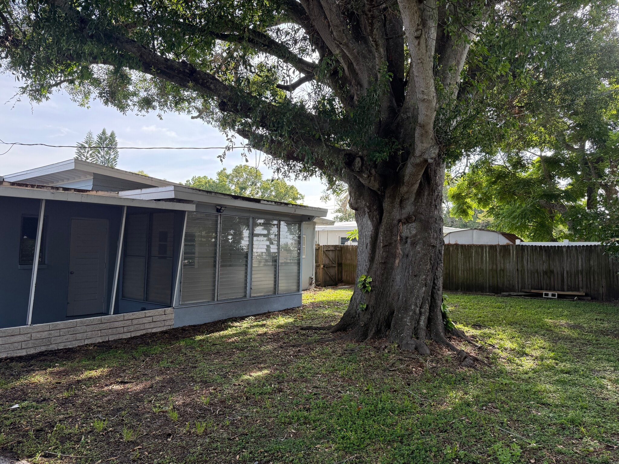Back yard - 1917 Ridgewood Dr