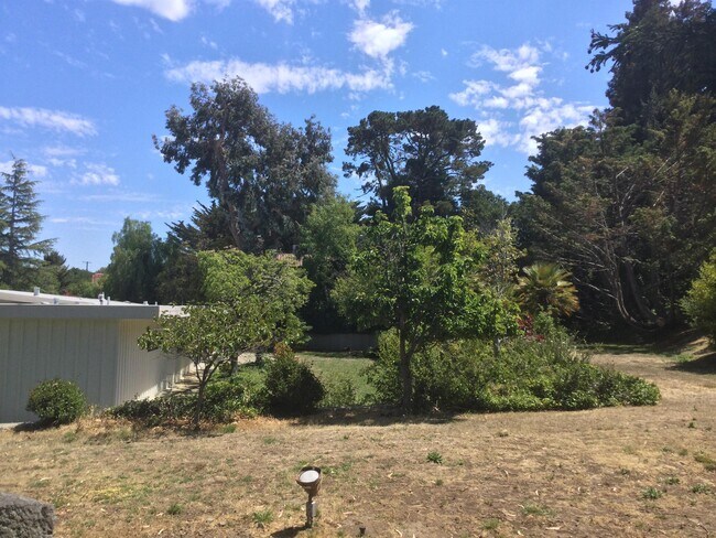 Building Photo - 55 Del Monte Dr