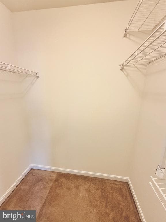 Building Photo - 17357 Sligo Loop