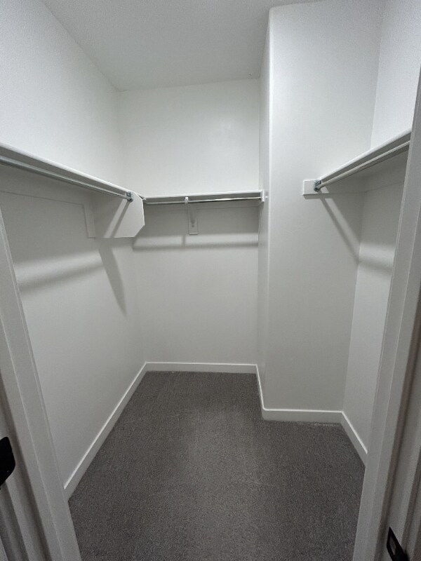 Building Photo - 778 W Bronze Leaf Rd