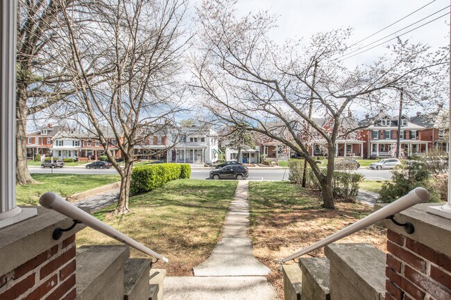 FRONT LAWN VIEW - 813 N Market St