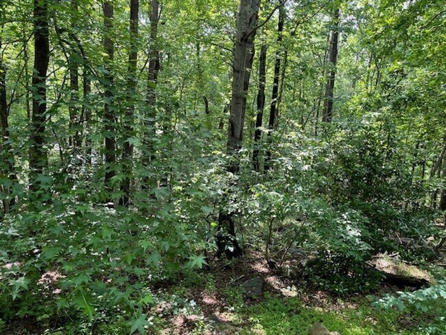 Building Photo - 104 Lystra Hills Ln