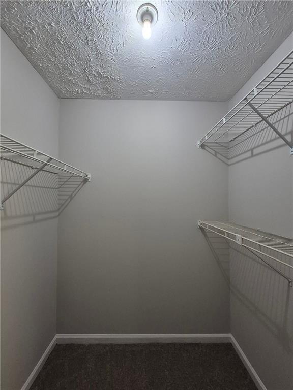 Building Photo - 408 Waterbury Dr