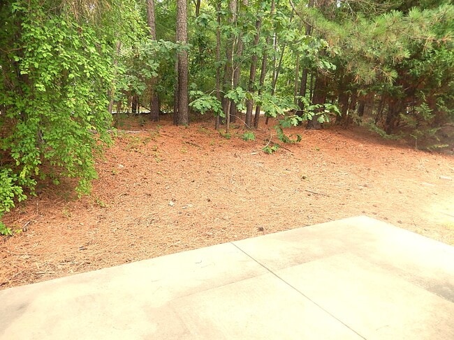 Building Photo - 211 Bridgepath Dr