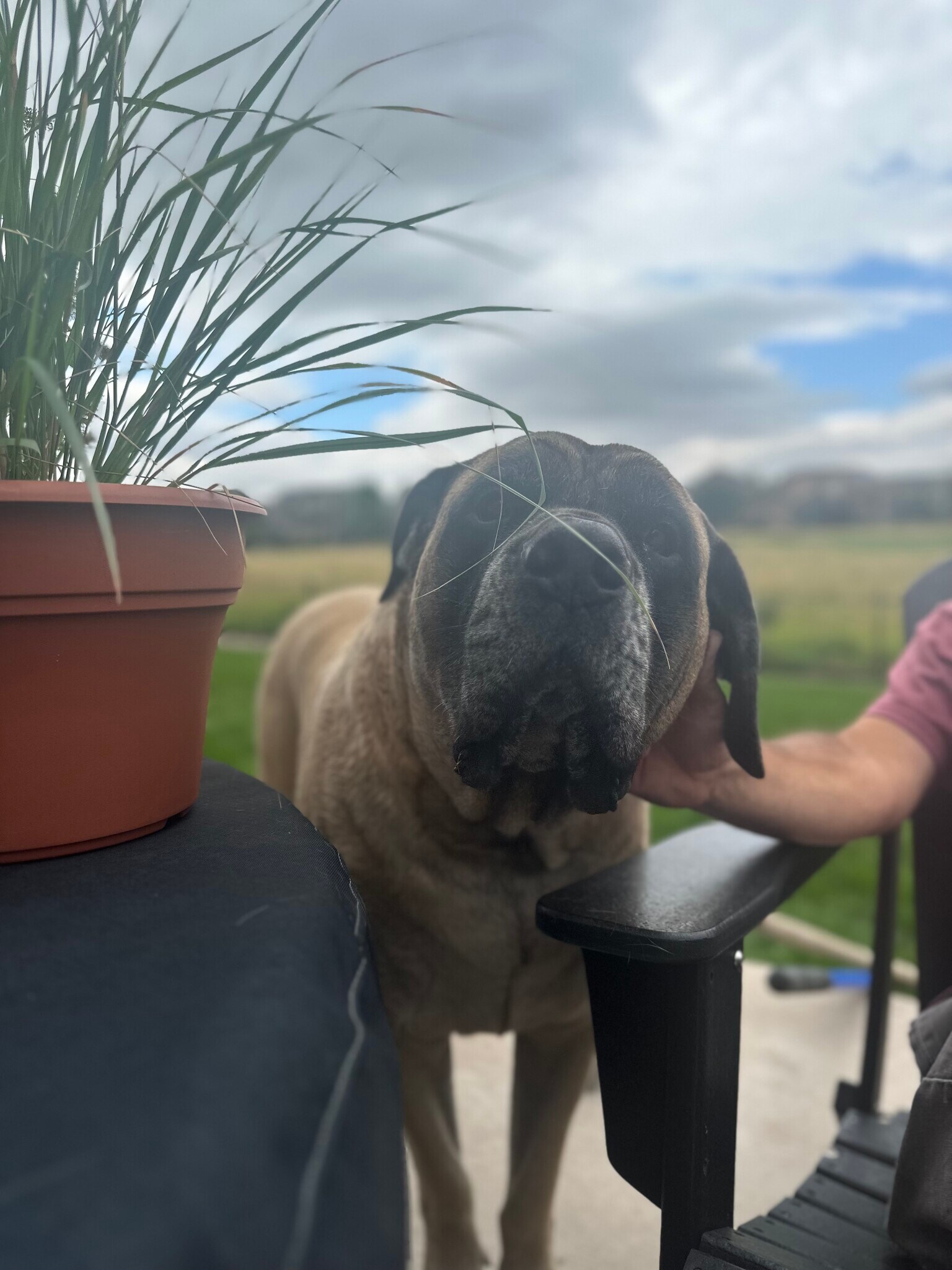 Building Photo - 27335 E Alder Dr