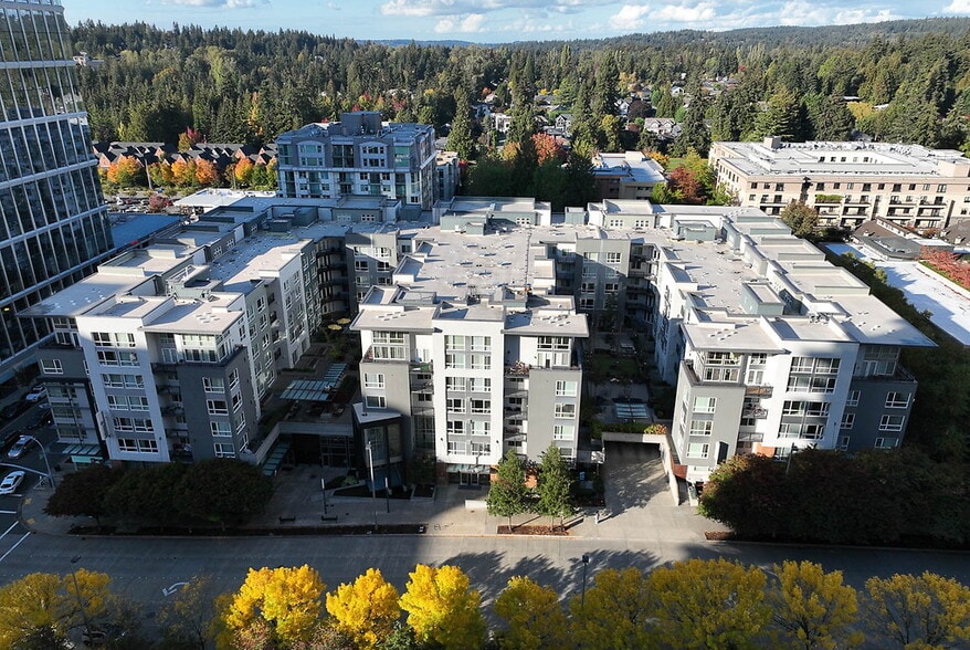 Primary Photo - Belcarra