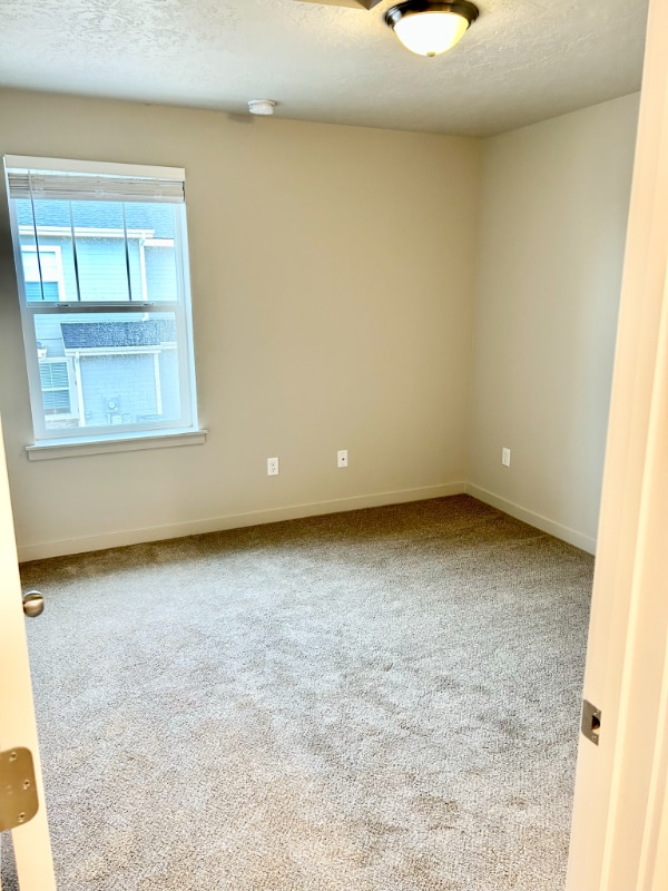 Building Photo - 2312 Spice Loop
