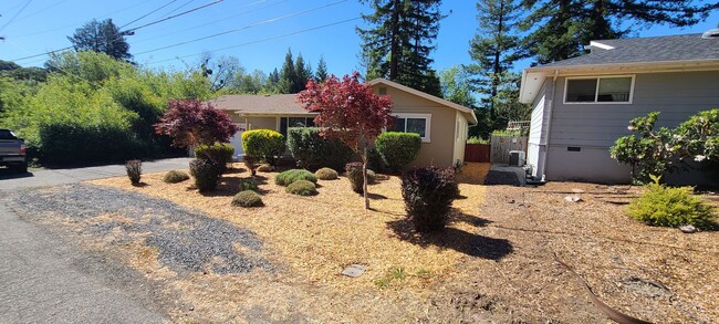 Building Photo - Walking Distance to Downtown Sebastopol