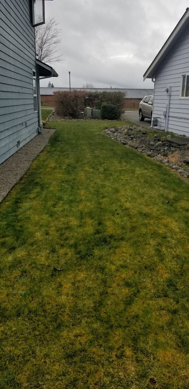Wrap around yard - 10615 Hillsboro Dr NW