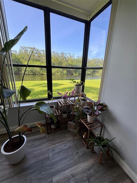 Building Photo - 2660 Carambola Cir N