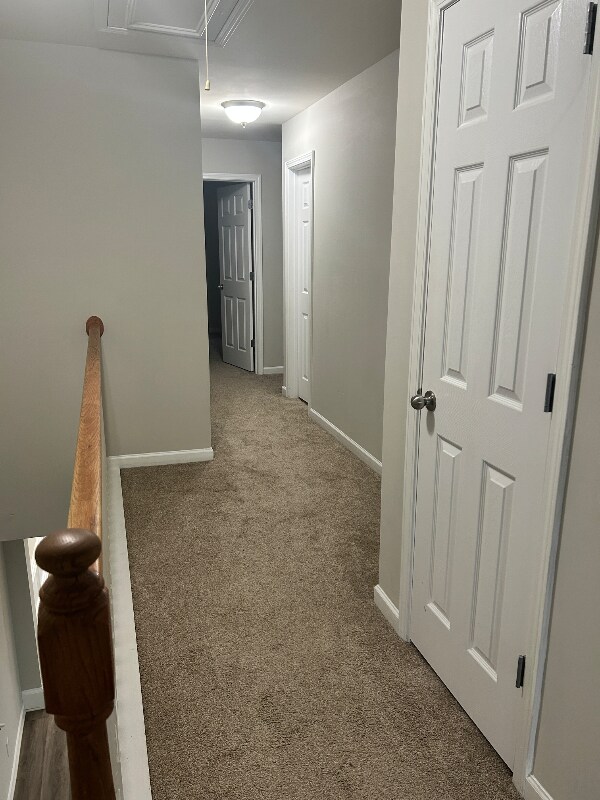 Building Photo - 364 Beynon Terrace