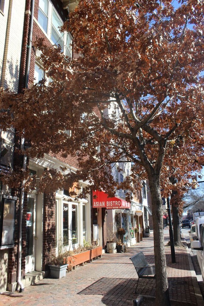 Building Photo - 809-809-809-802 King St