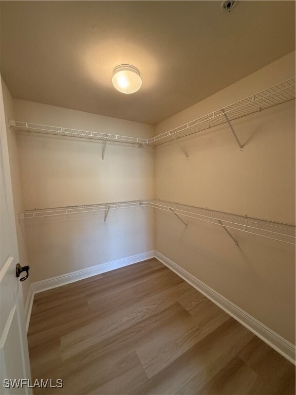 Building Photo - 3948 Pomodoro Cir