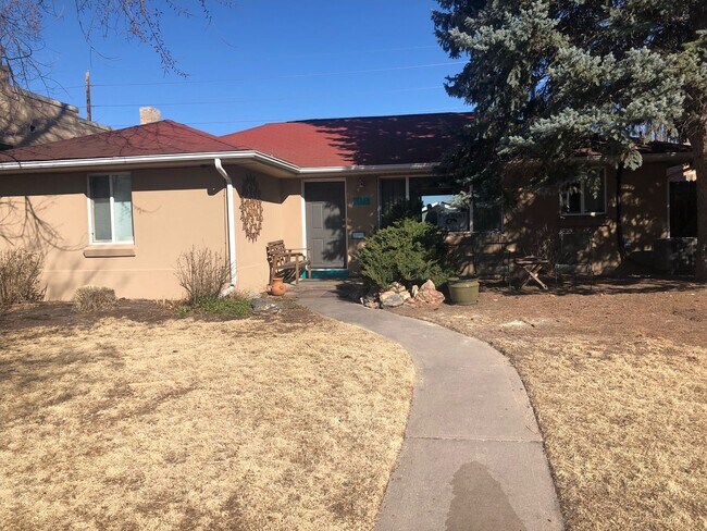 Building Photo - Denver Three Bedroom House Two Blocks From City Park