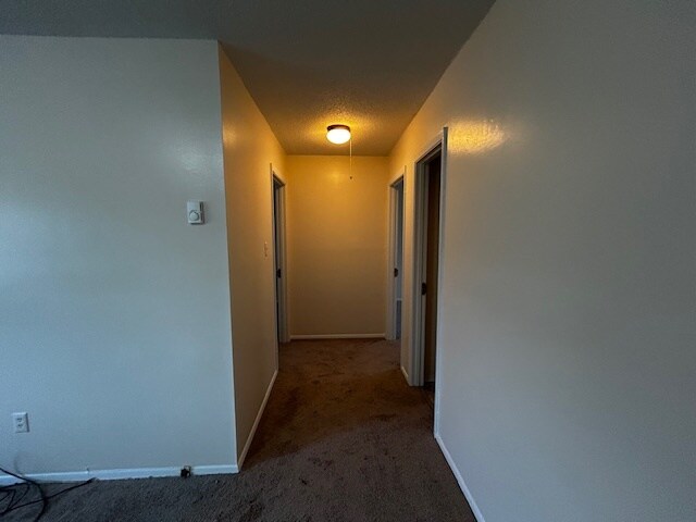 Building Photo - 3600 Cannan Forest Dr