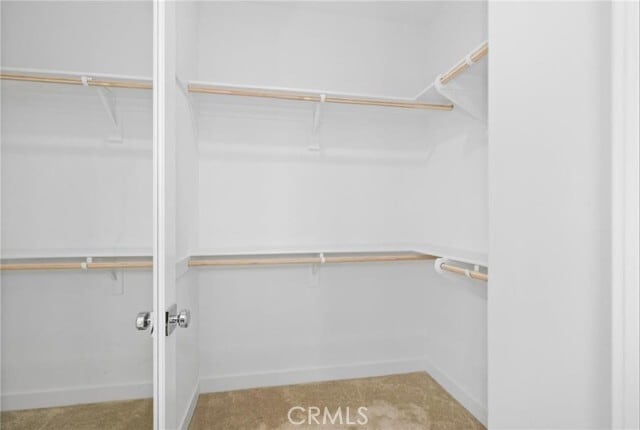 Building Photo - 319 Carmona